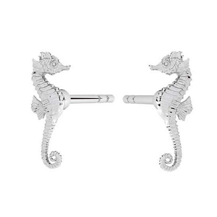 10mm Seahorse Ear Studs Sterling Silver