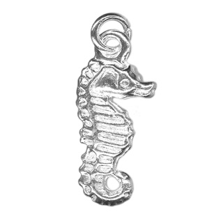 20mm Seahorse Charm SP