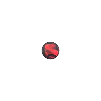 8mm Red Abalone Cabochon