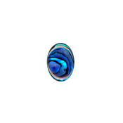 14x10mm Blue Abalone Cabochon