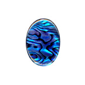 25 x18mm Blue Abalone Cabochon