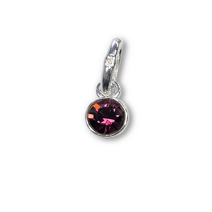 4mm Birthstone Bezel Charm STS-Amethyst/February