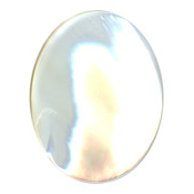 40 x30 Mother of Pearl Cabochon