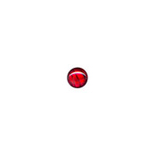 6mm Red Abalone Cabochon